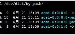 Linux系统VPS服务器 如何挂载数据盘?-VPS推荐网