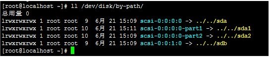 Linux系统VPS服务器 如何挂载数据盘？